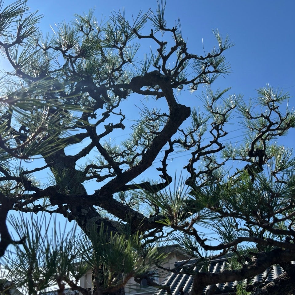 藤原造園 _3枚目