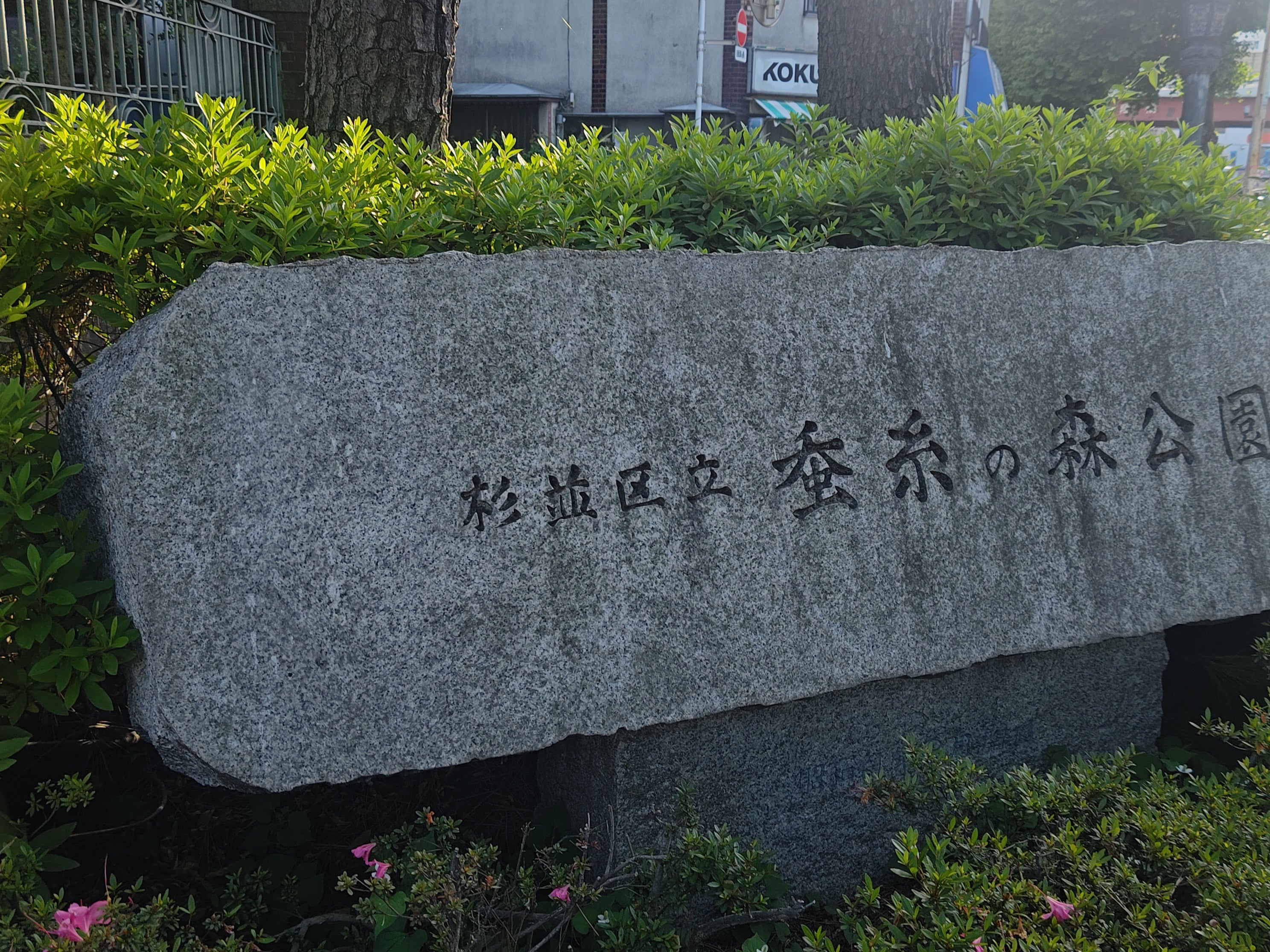 杉並区　蚕糸の森公園_1枚目