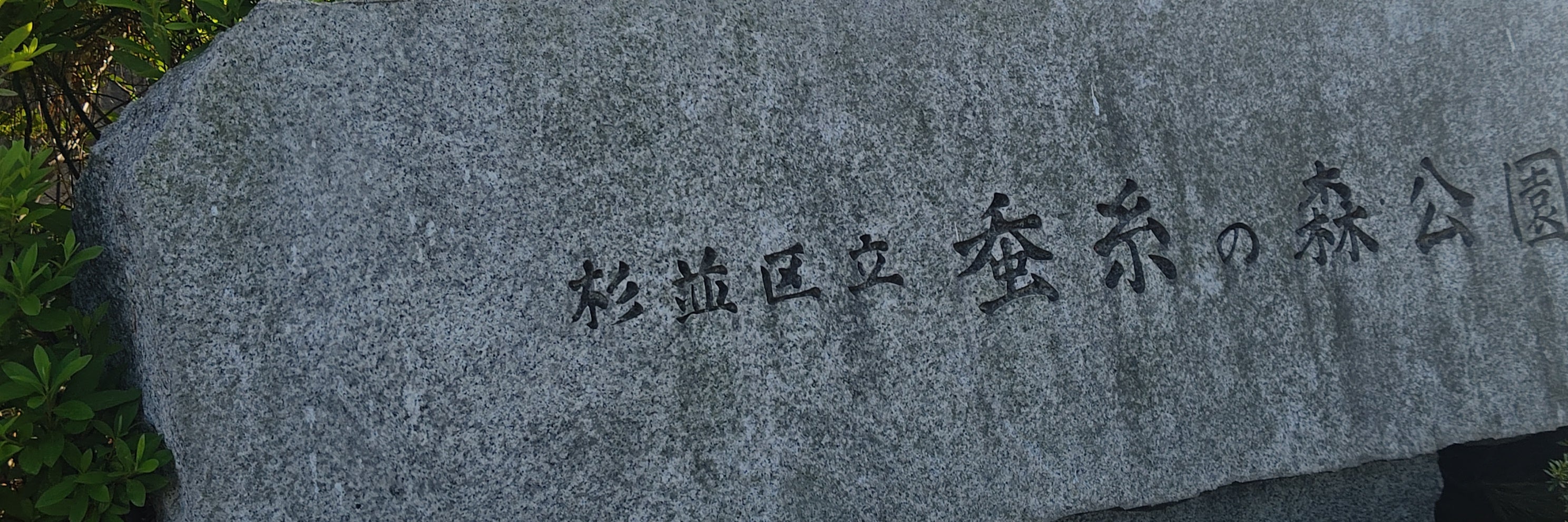 杉並区　蚕糸の森公園