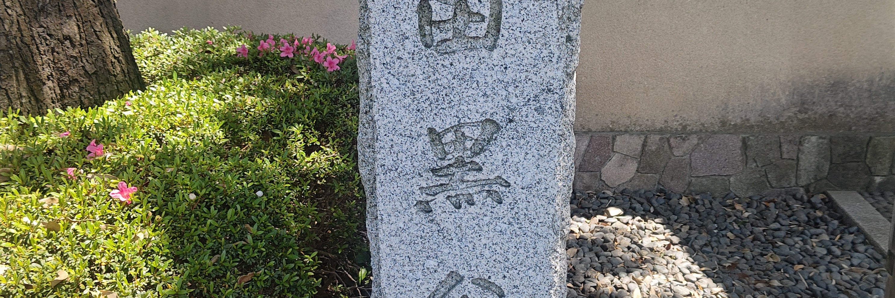 スギナミク　大田黒公園
