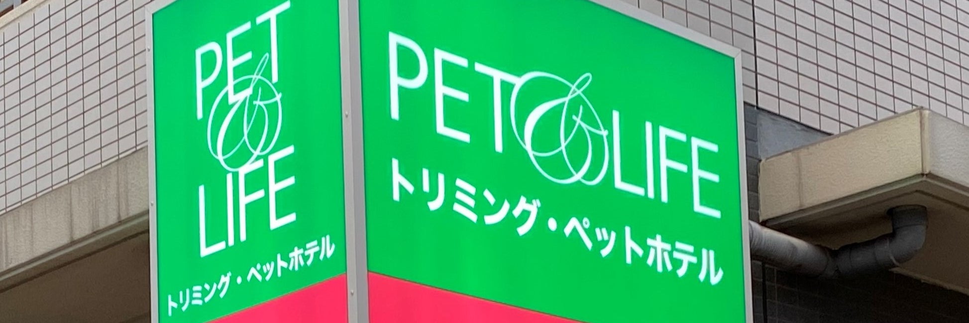 ＰＥＴ＆ＬＩＦＥ【ペットアンドライフ】