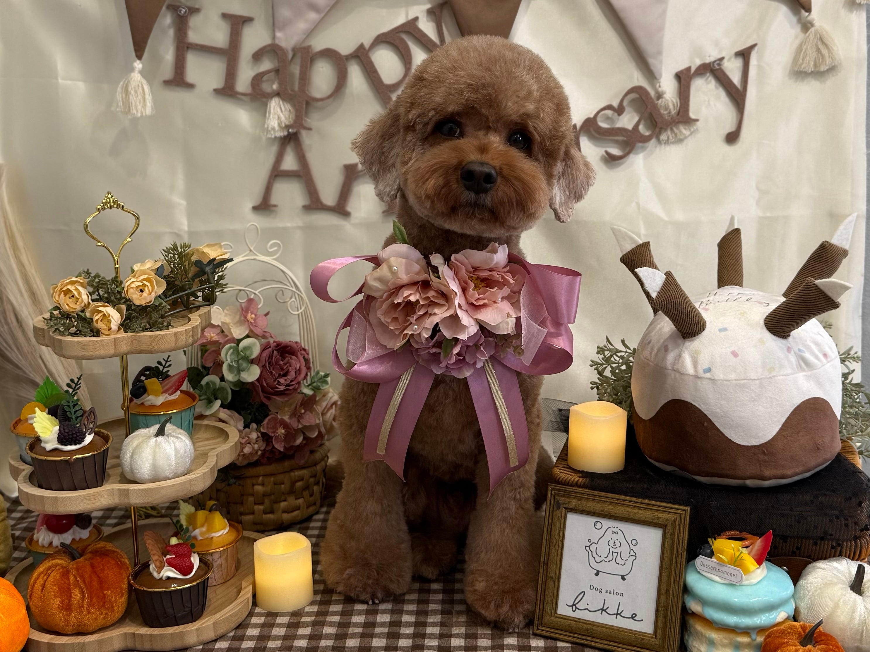 Dog salon bikke_3枚目