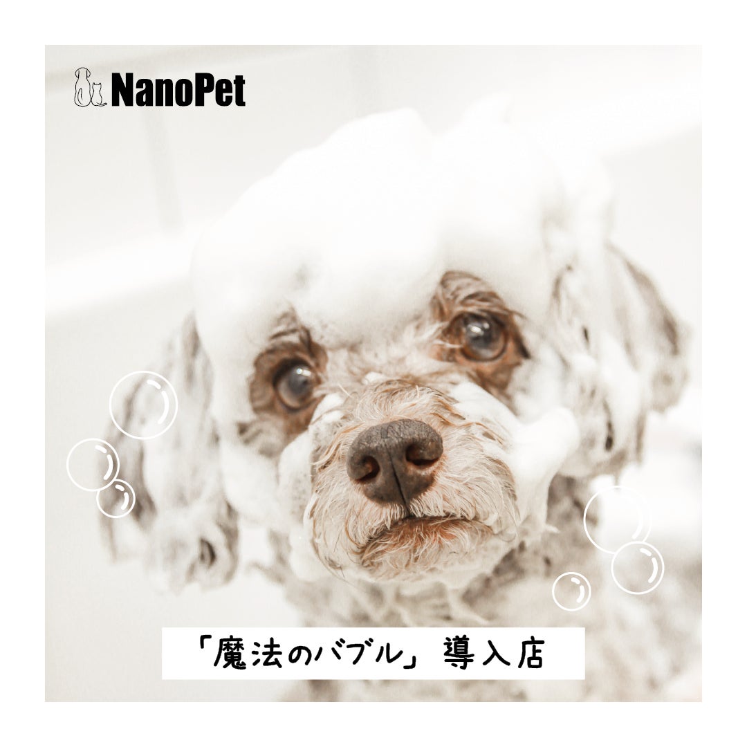 Dog salon bikke_2枚目