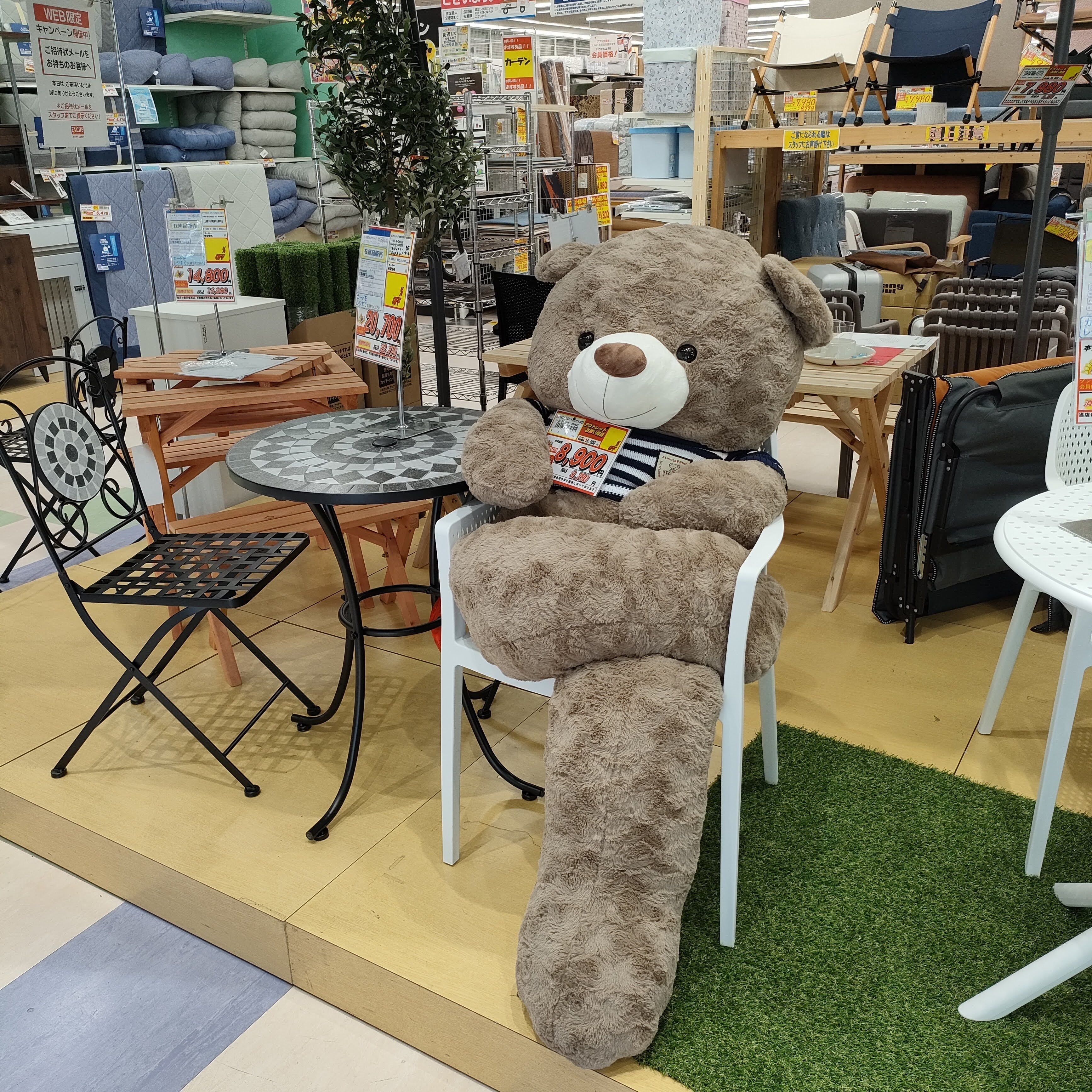 ファニチャーエキサイト 宇治店_3枚目
