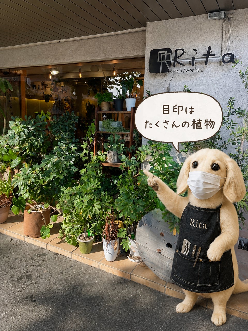 Hair/Works Ritaの紹介写真_1枚目