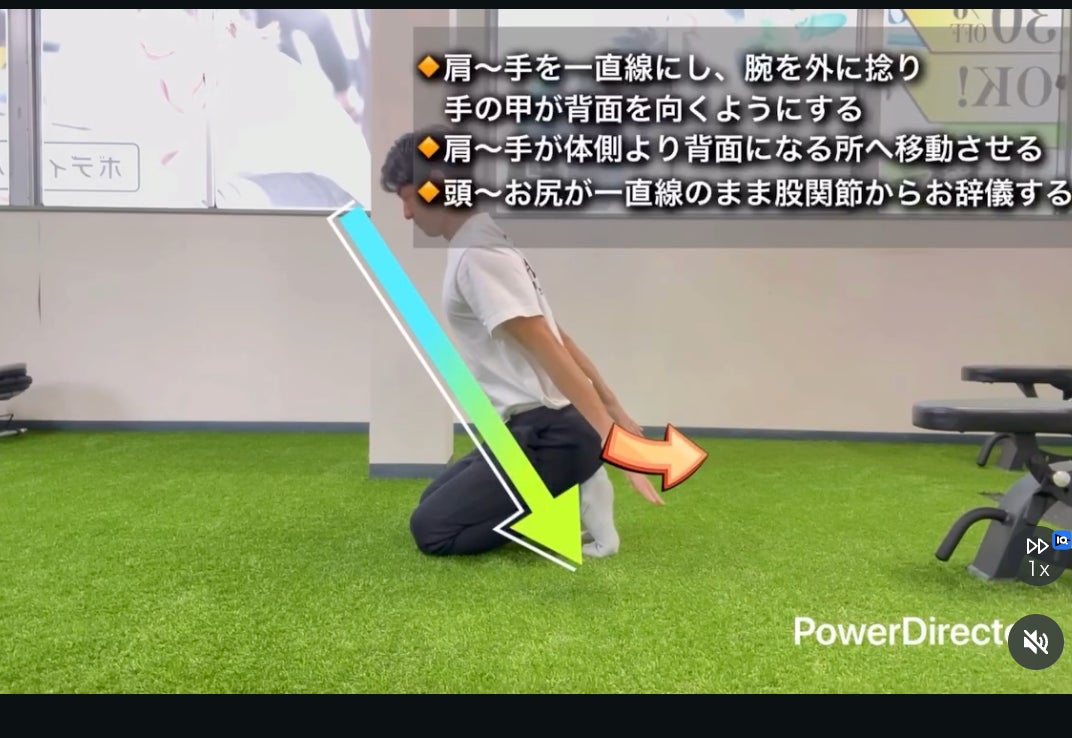 毎日うっすら調子悪いなみたいな人はやってみての写真