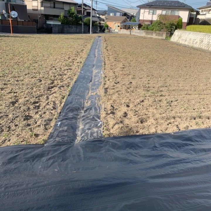 ちょこっと農業　交野森南3丁目農園_2枚目