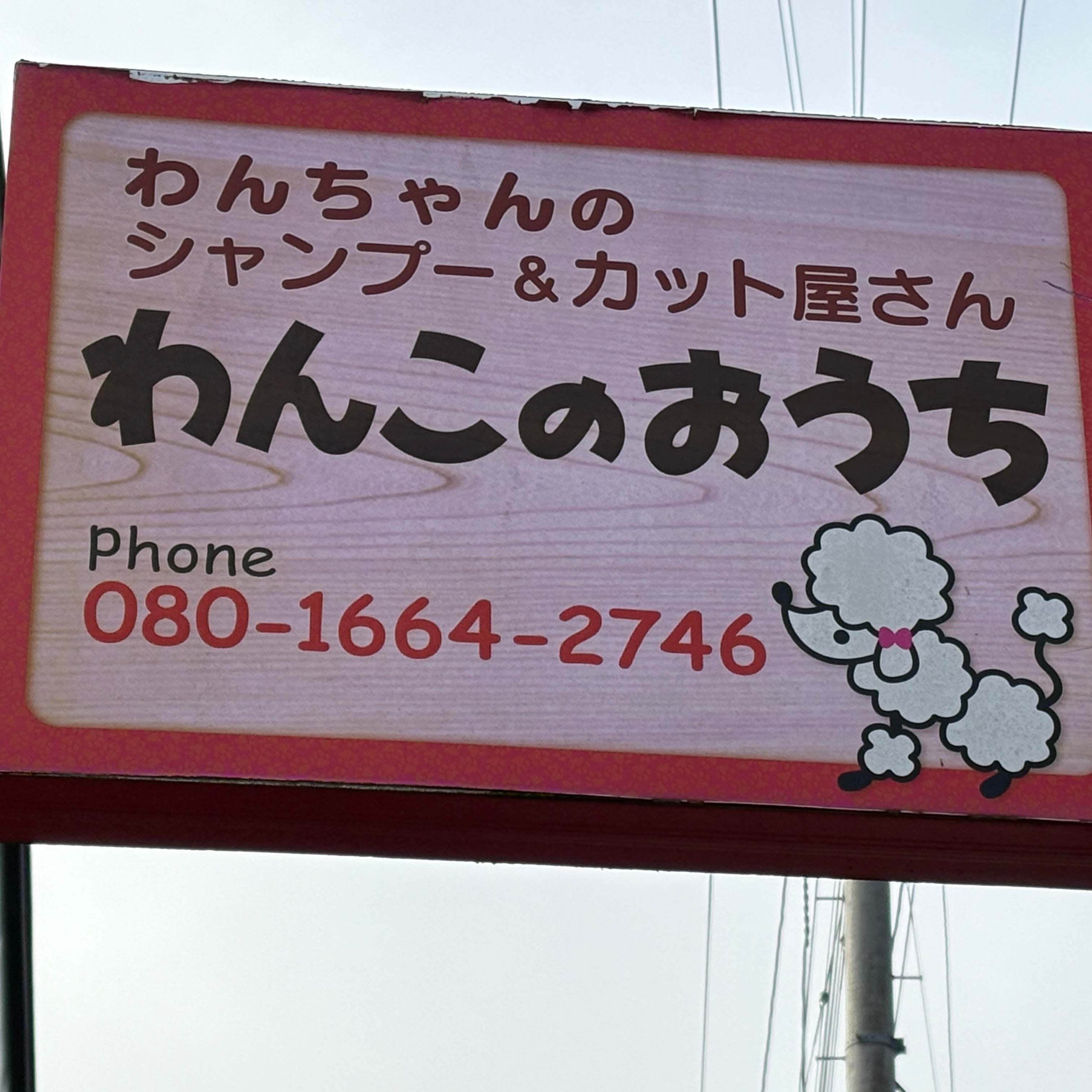 トリミングサロンわんこのおうち_1枚目