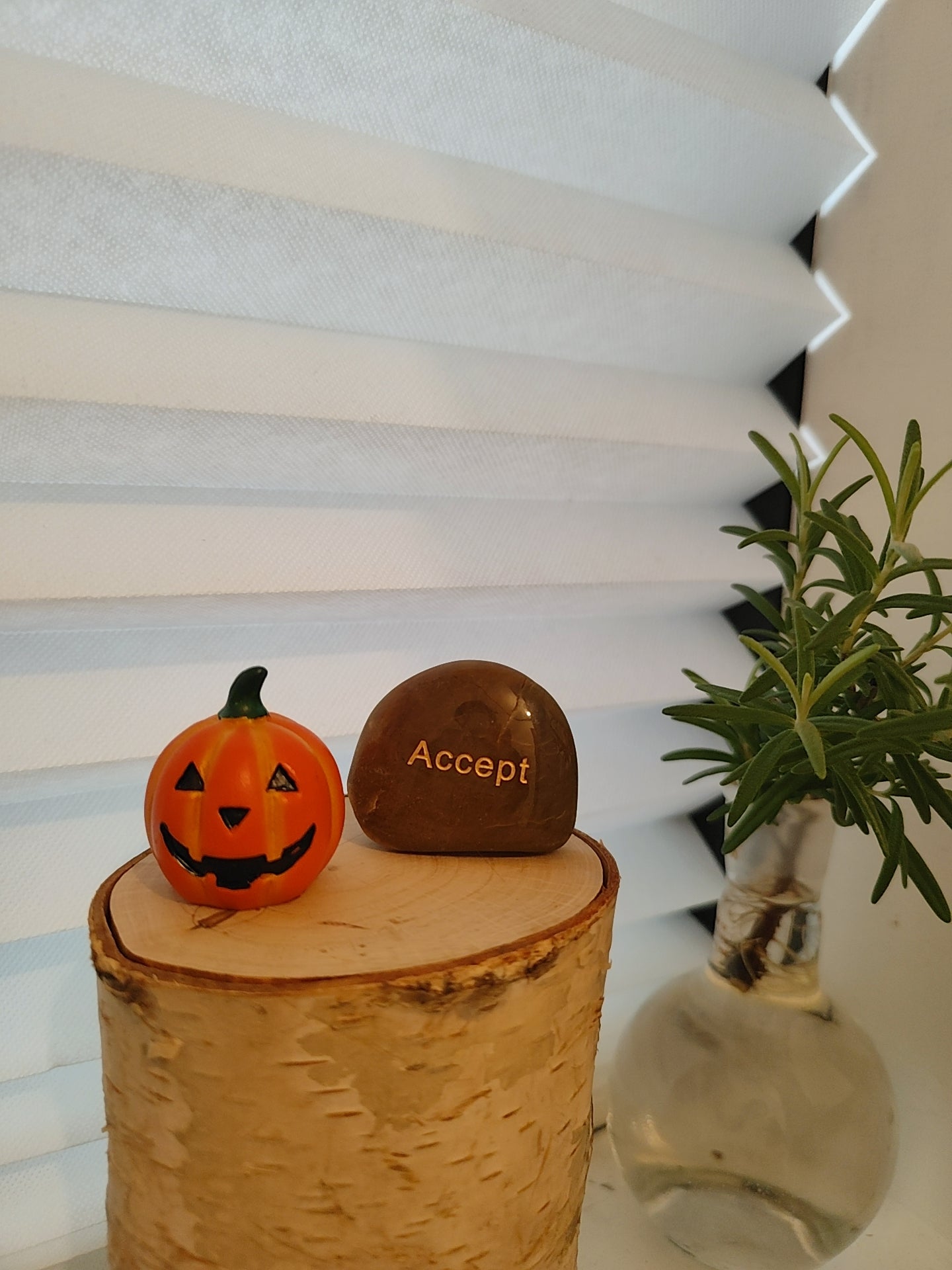 癒しと美容の秋🍂の写真