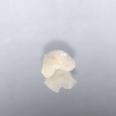 2019/06/11に近藤歯科が投稿した、メニューの写真