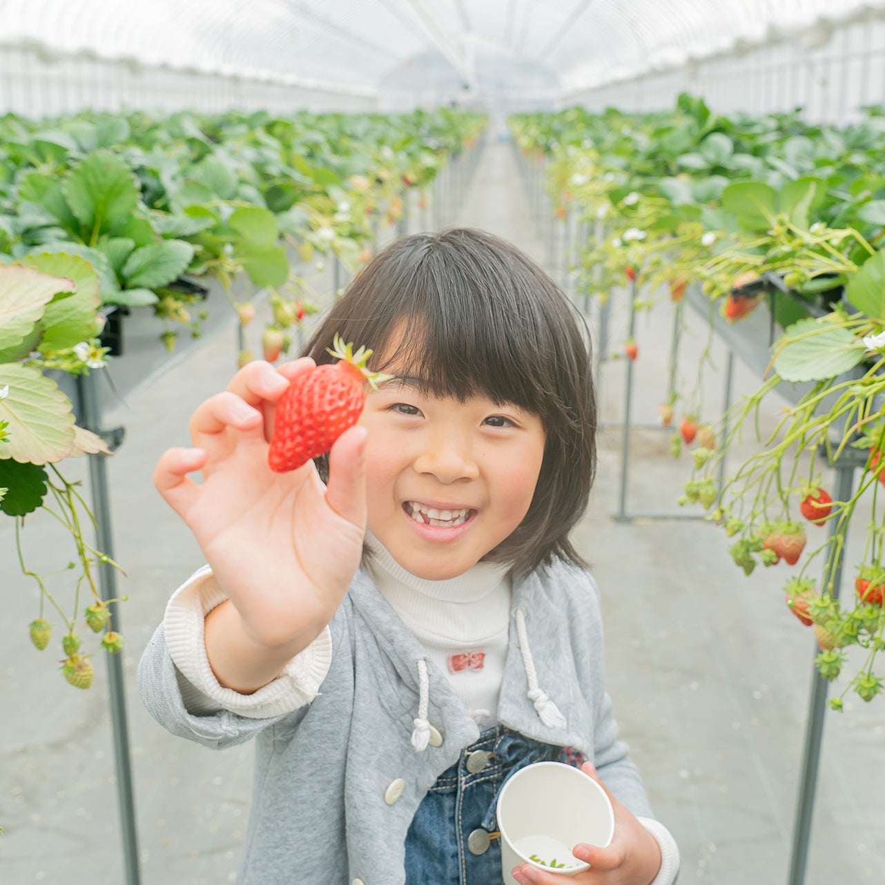 ひさだ苺農園_3枚目