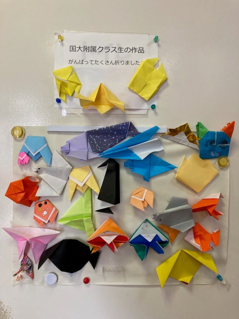 新年長　横浜国大クラス　無料体験会の写真