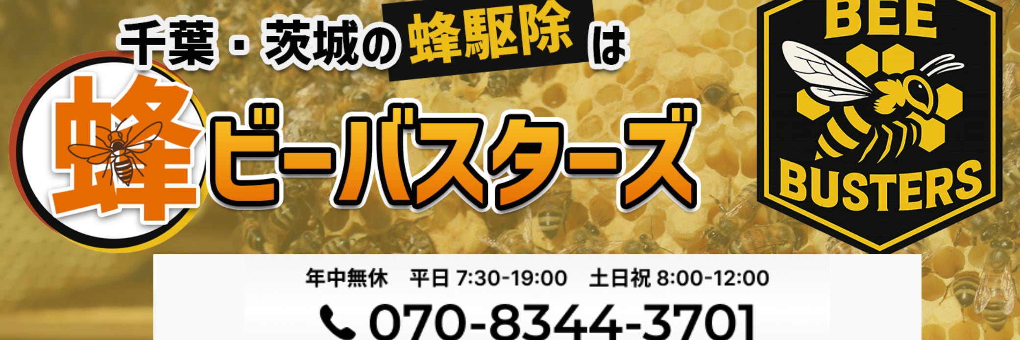 ビーバスターズ