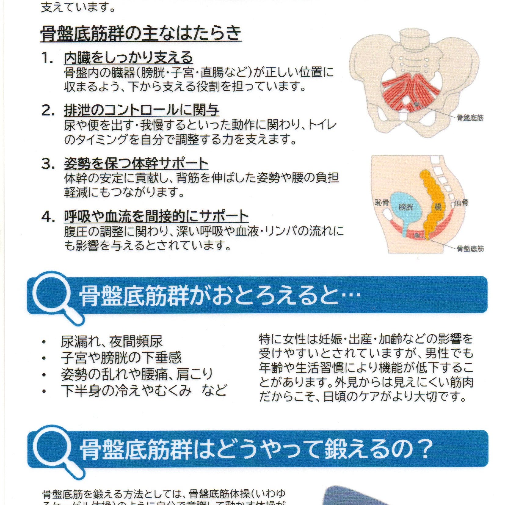 とんとん接骨院_1枚目