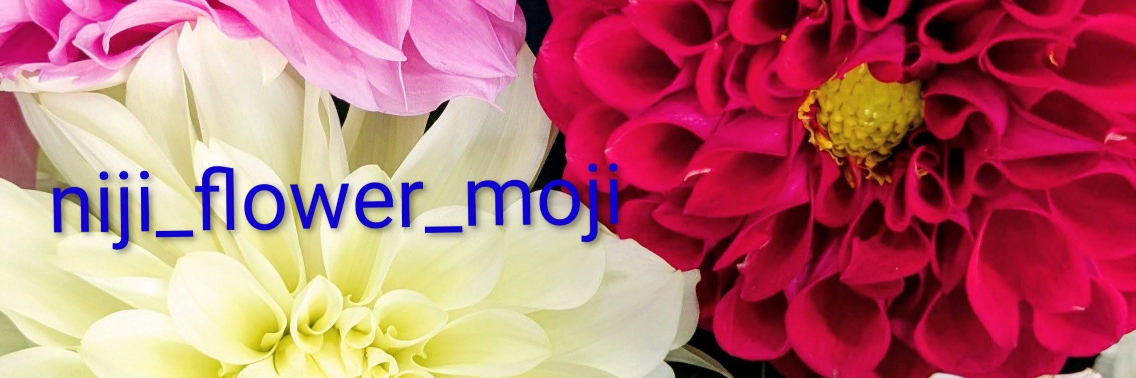 Flowershop　虹フラワー