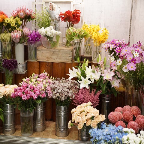 Ｆｌｏｗｅｒ＆Ｇａｌｌｅｒｙかどむら_3枚目