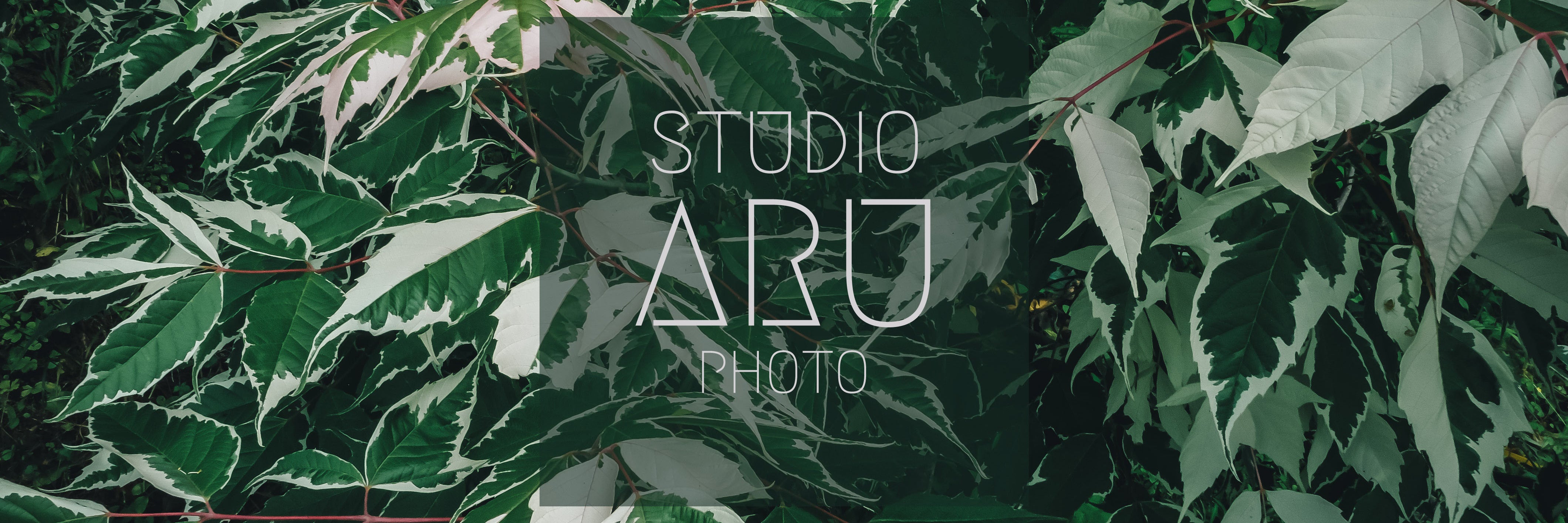 studioARU
