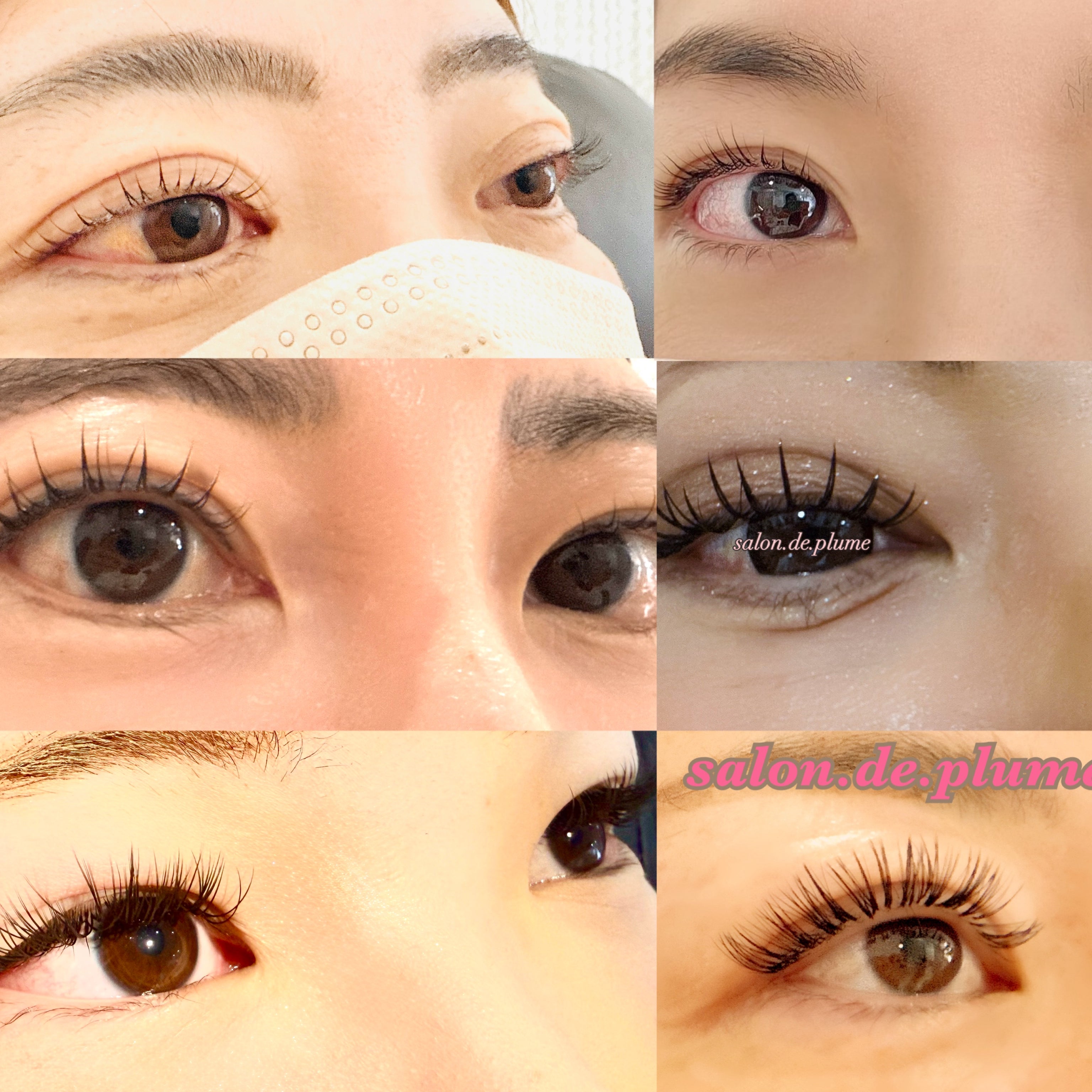 salon.de.plume_1枚目