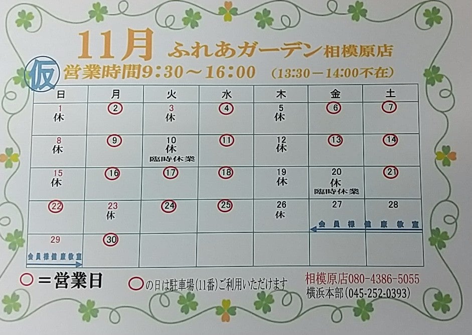 11月予定です。の写真