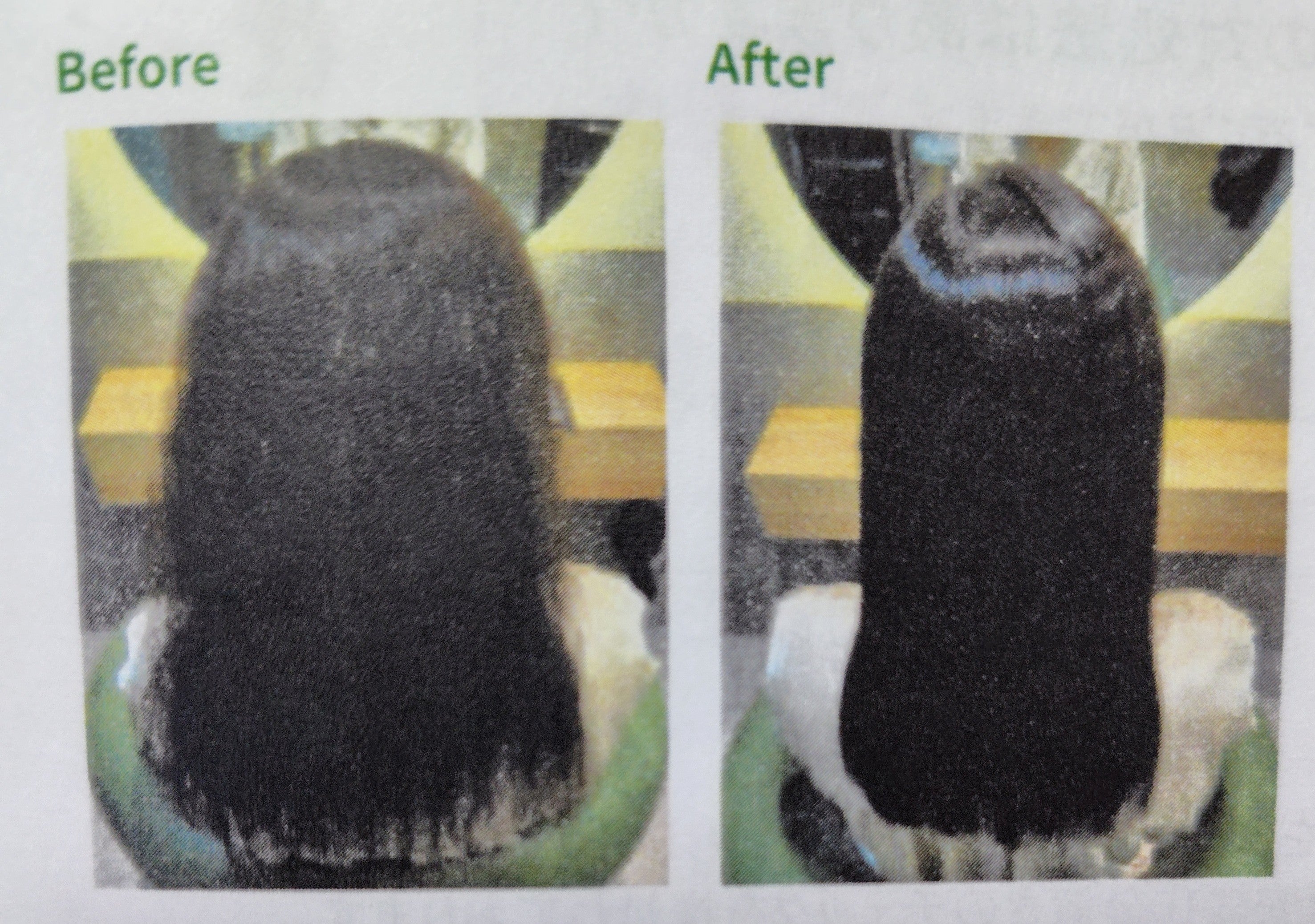 アリスの髪にドラマを。　髪質改善縮毛矯正始めましたの写真