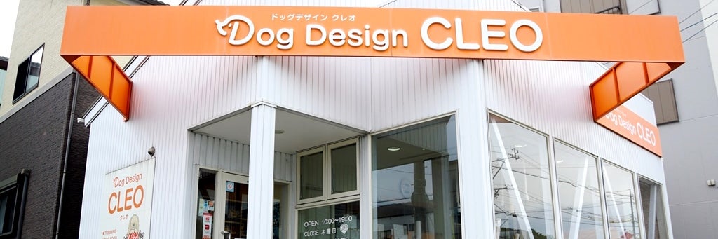 DogDesign CLEO