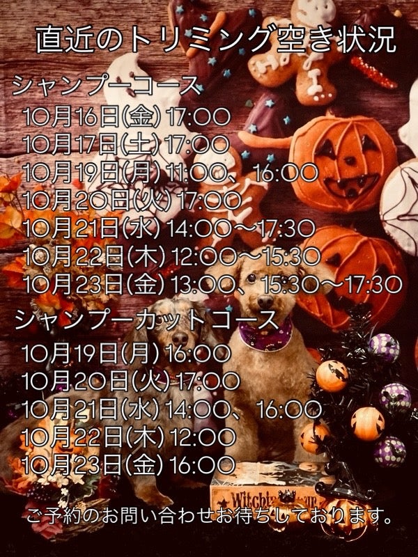 トリミング空き状況の写真