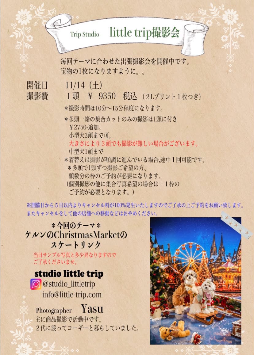 11月14日（土）撮影会開催のお知らせ！の写真