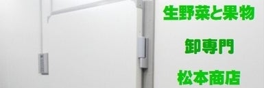 松本商店