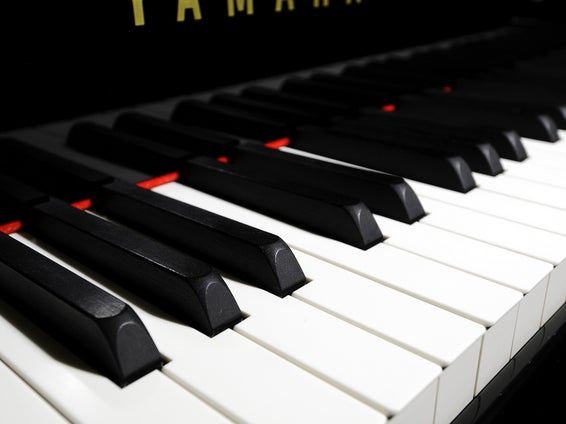 musica chicory piano lesson_3枚目