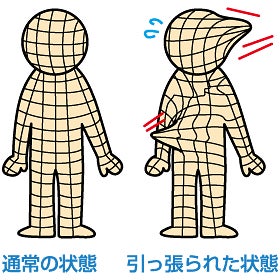 筋膜リリースとは？の写真