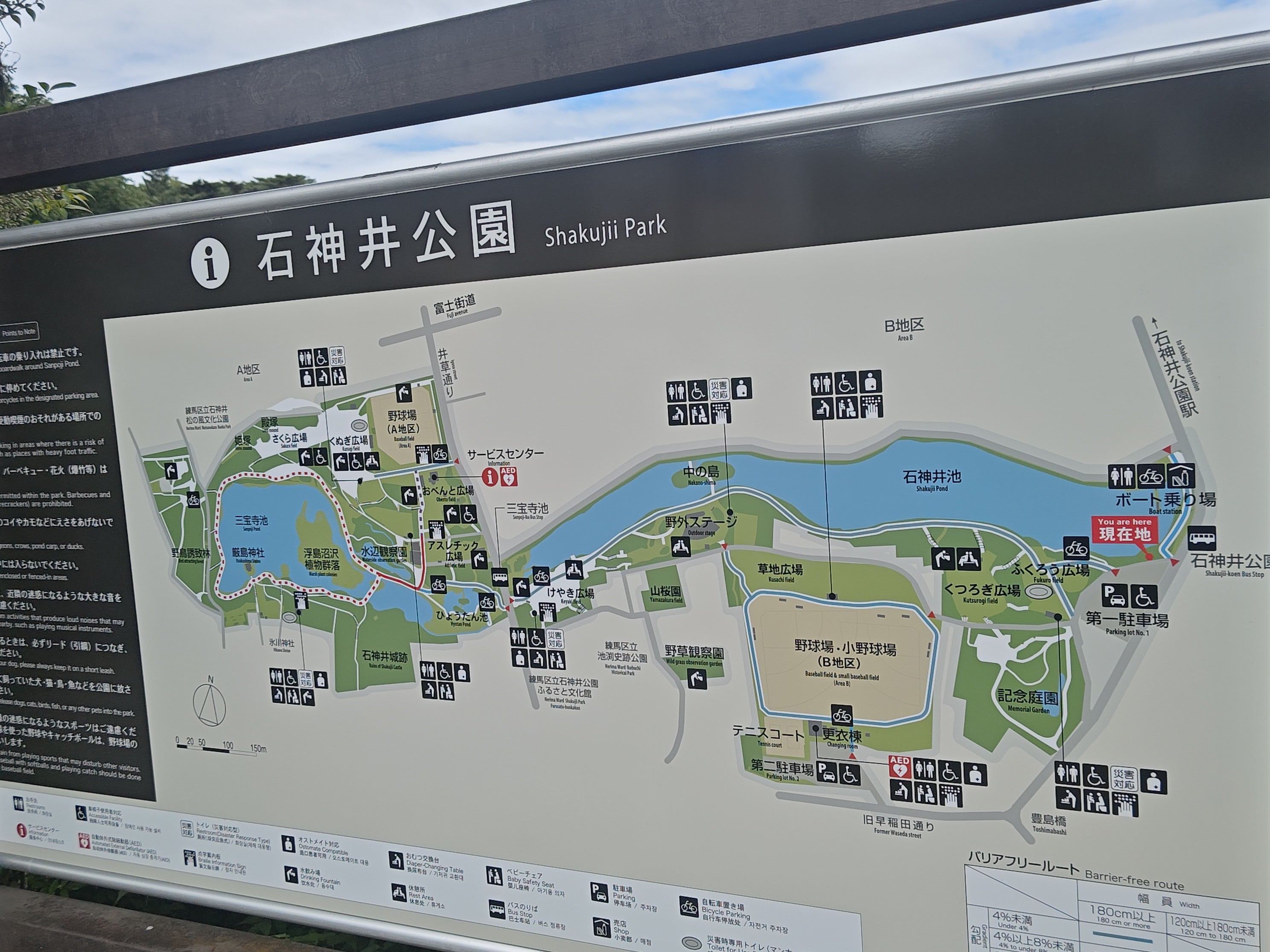 石神井公園_1枚目