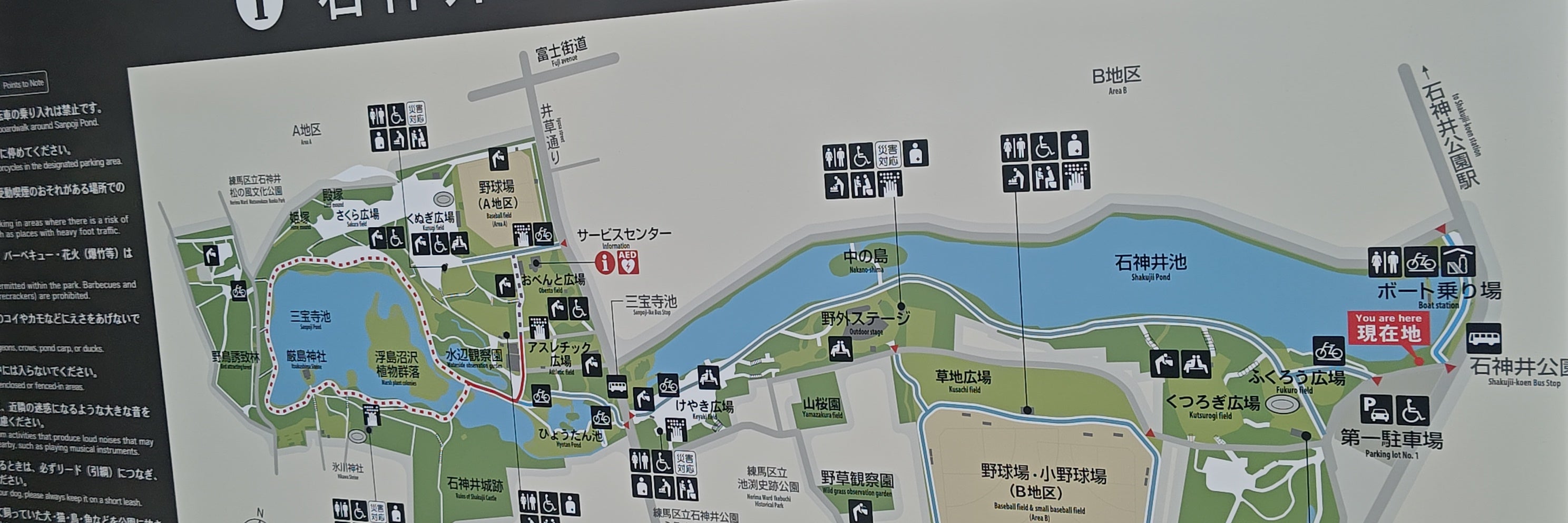 石神井公園