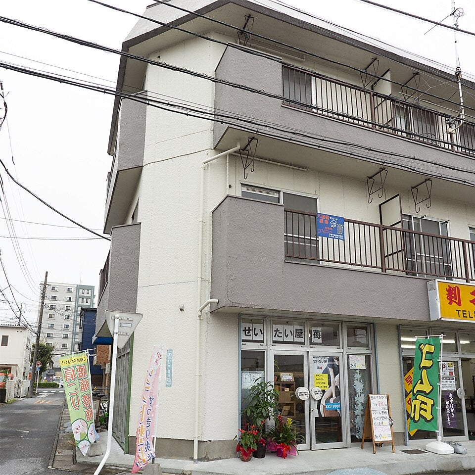 東川口整体　苺_3枚目
