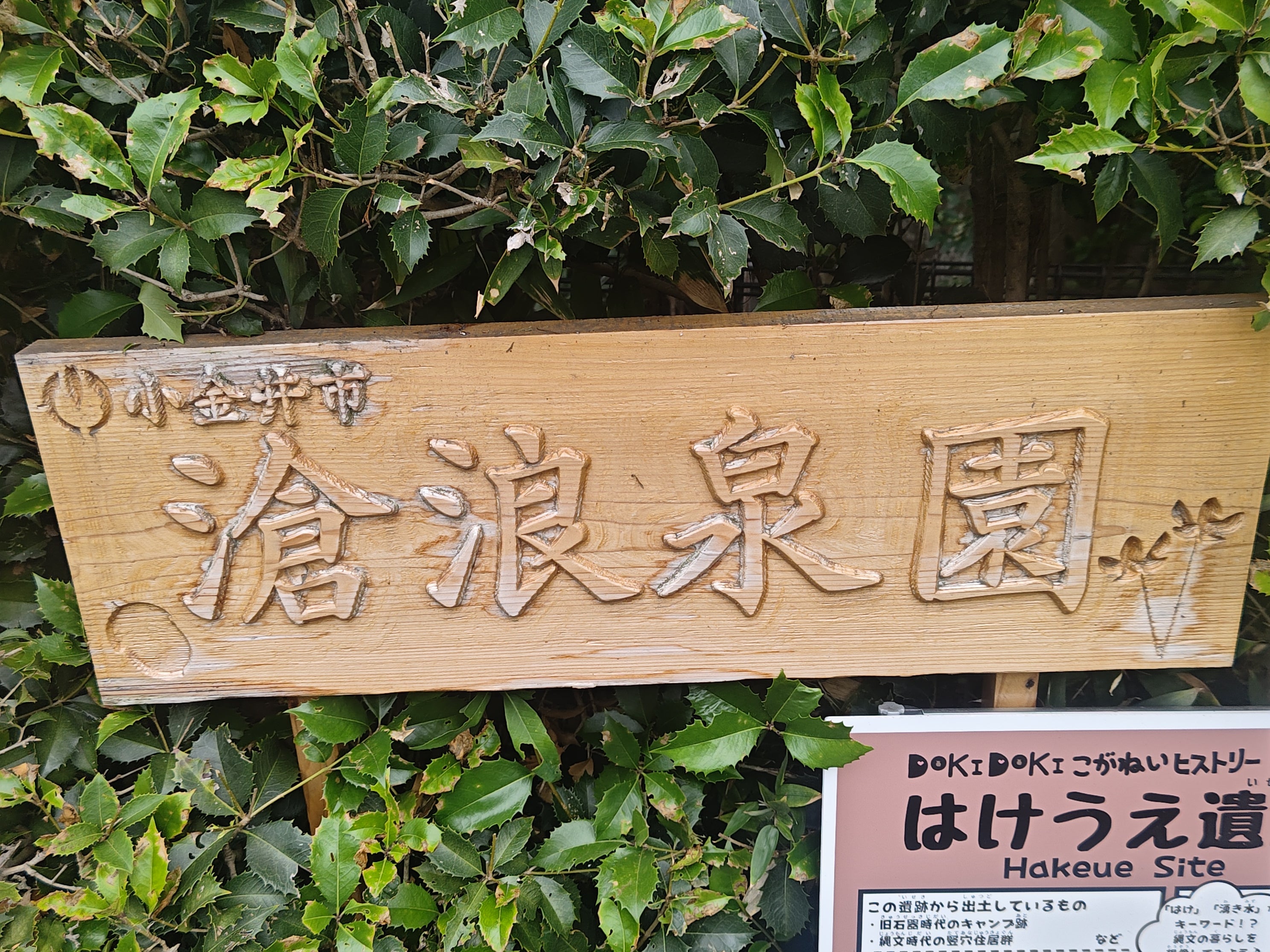 滄浪泉園緑地_1枚目