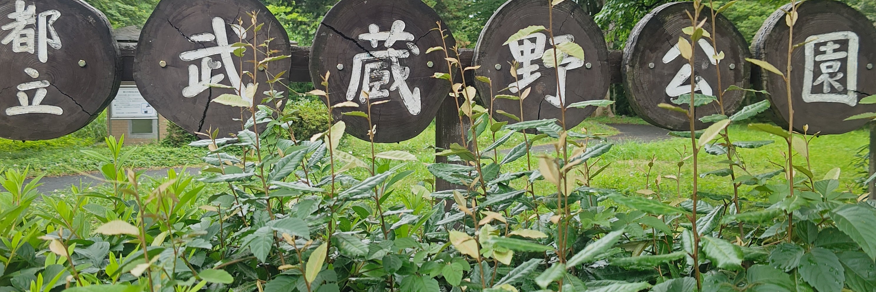 武蔵野公園
