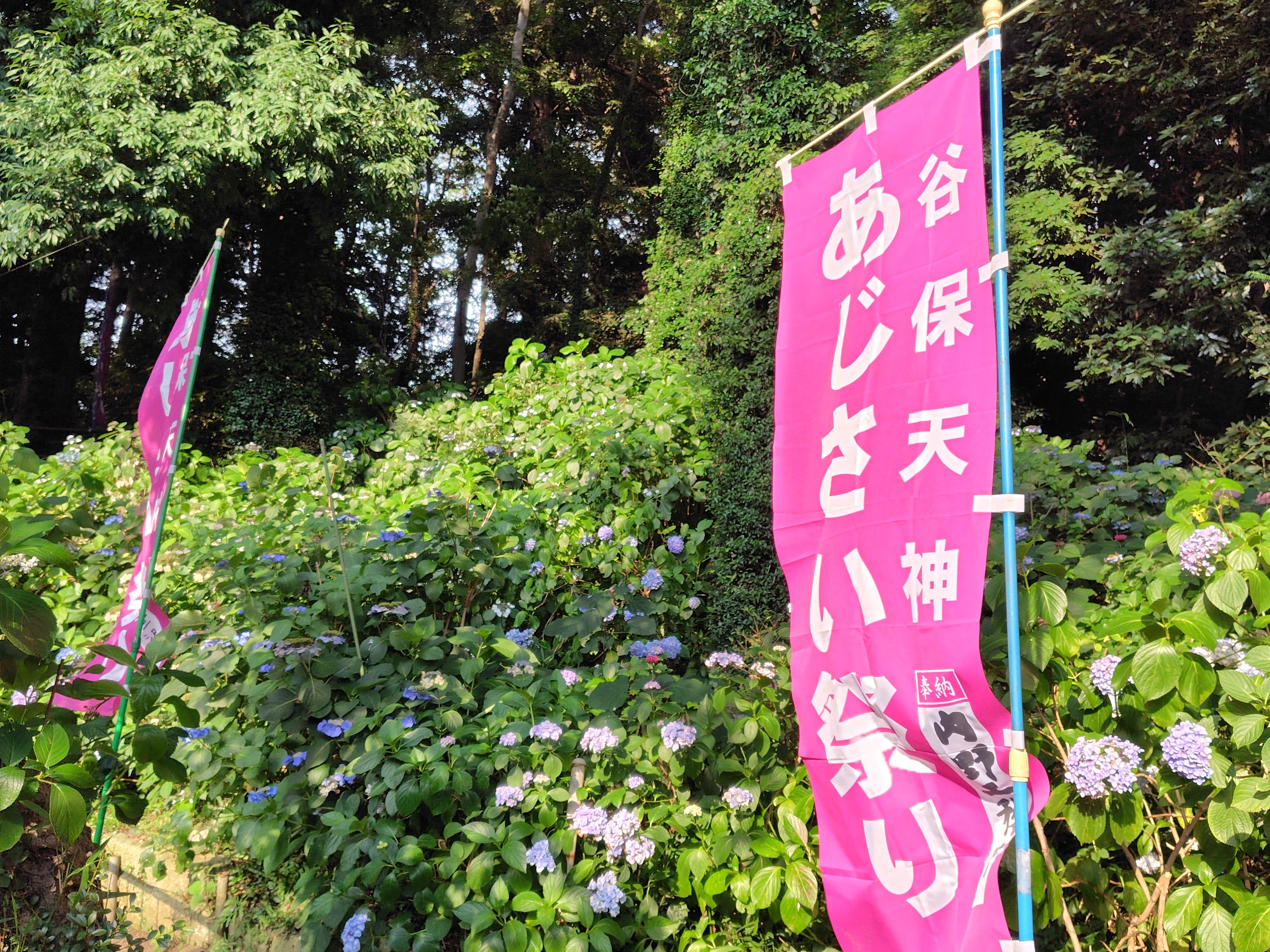 谷保天満宮_1枚目