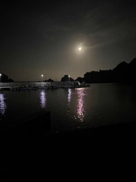 8月のお休みの写真