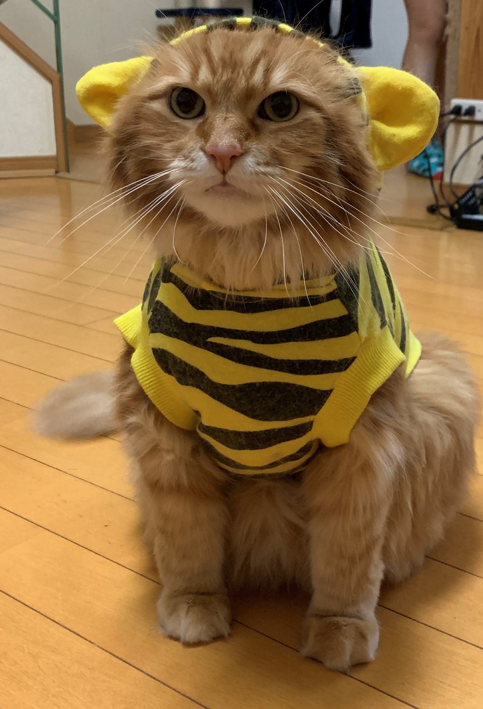 9月のお休みの写真