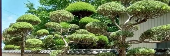 ろくろぎえん