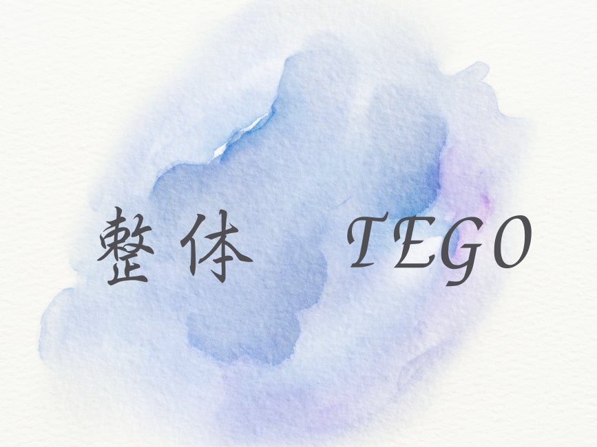 整体TEGO_1枚目