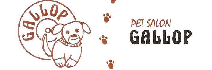 DogSalon GALLOP