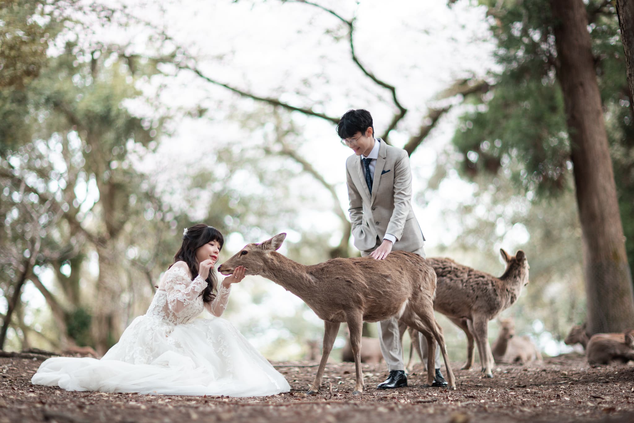 MR.HIRO CAR STUDIOのPhotograph Service／写真・動画撮影サービスの写真