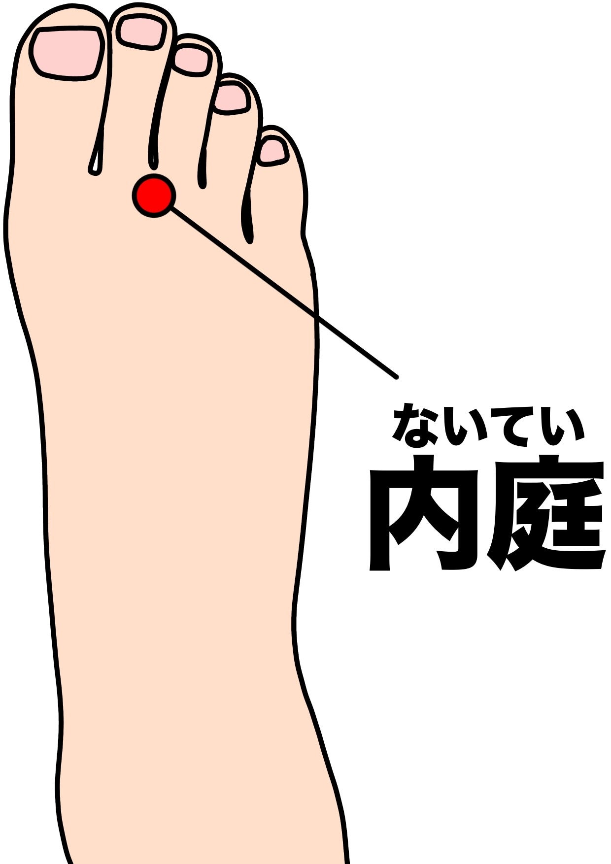 お風呂でこっそりケア！今週のおすすめツボ「内庭（ないてい）」の写真