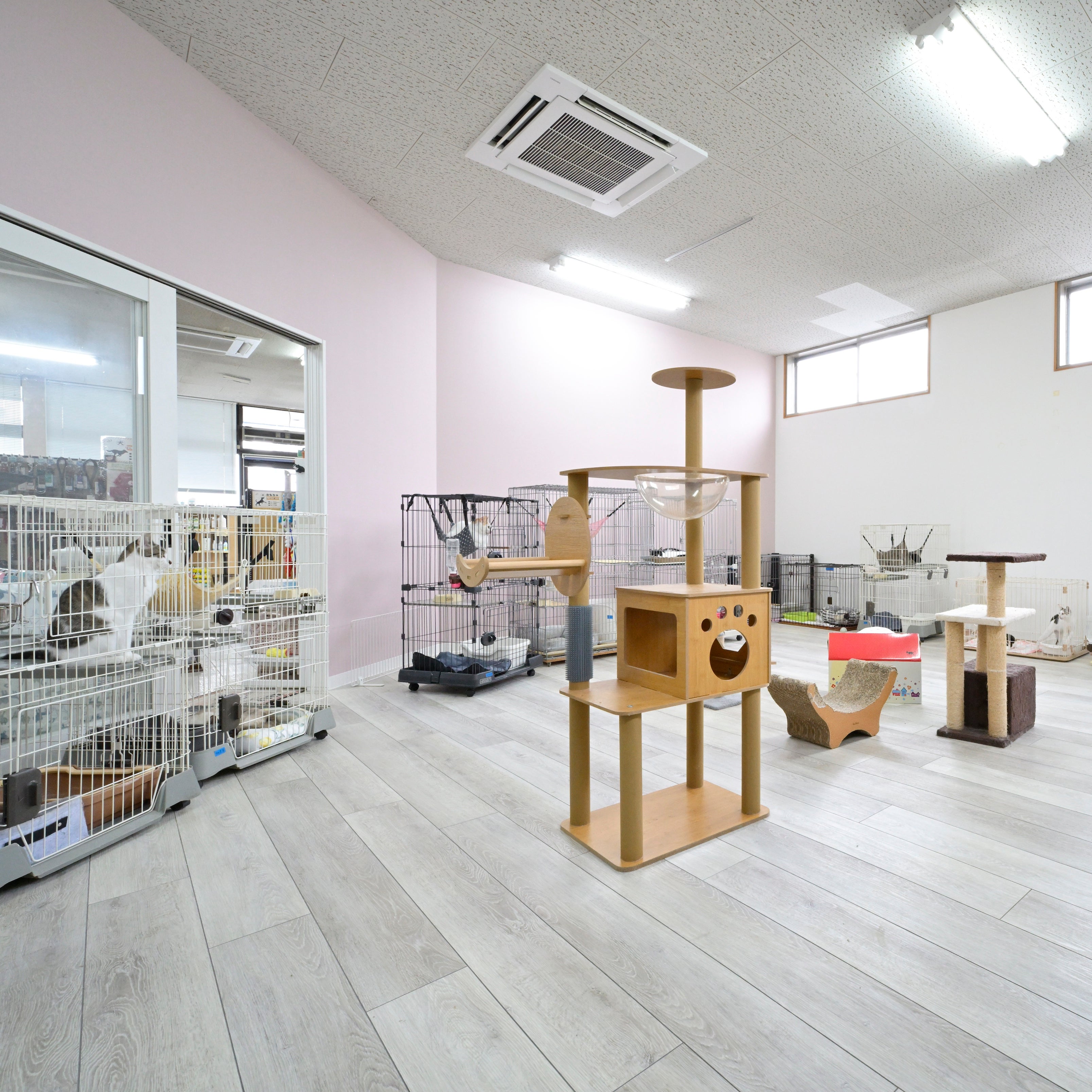 犬居猫座衛門_3枚目
