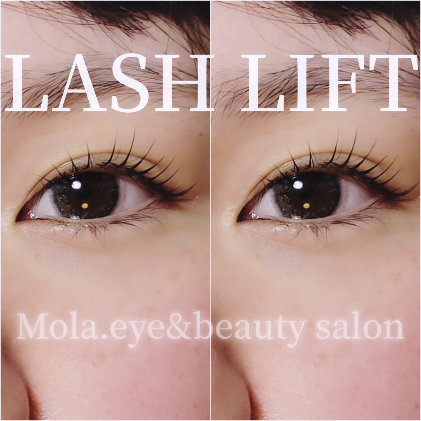 Mola. eye&beauty salonのLASH LIFTまつ毛パーマの写真