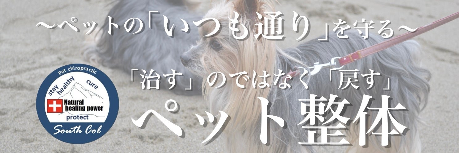 ペット整体 South Col（サウスコル）