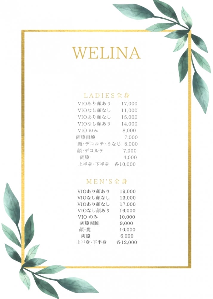 WELINA沖縄名護のladies全身脱毛vioあり顔あり　30%OFFの写真