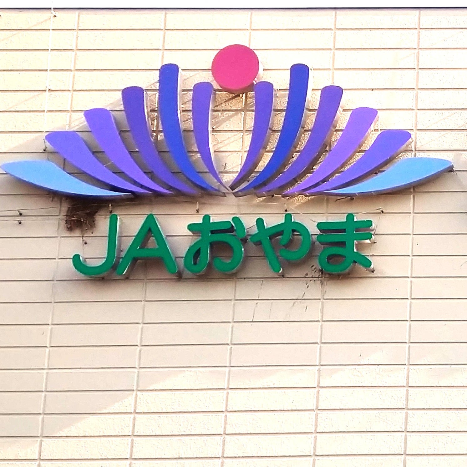ＪＡおやま思川ホール_2枚目