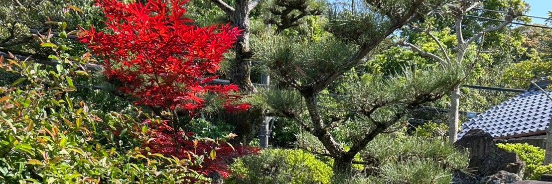 上野造園