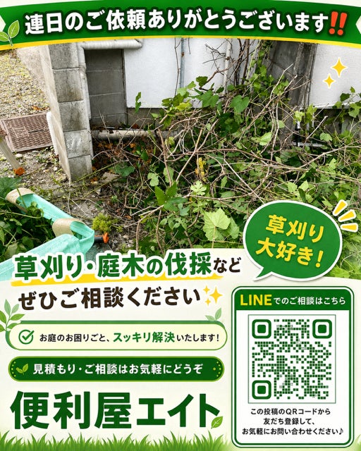 【加古川の草刈り】裏庭の草刈り・木々の整理のご依頼ありがとうございましたの写真